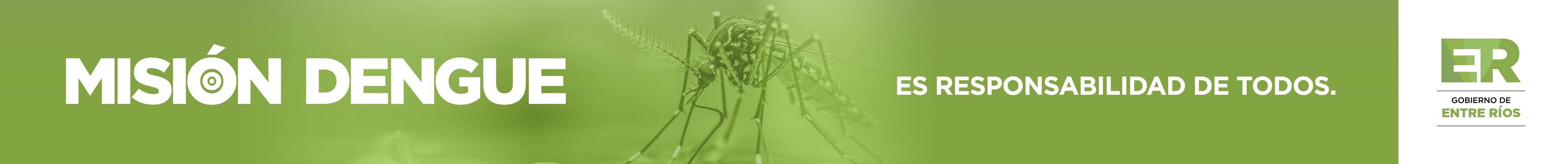 Alerta sobre el mosquito dengue